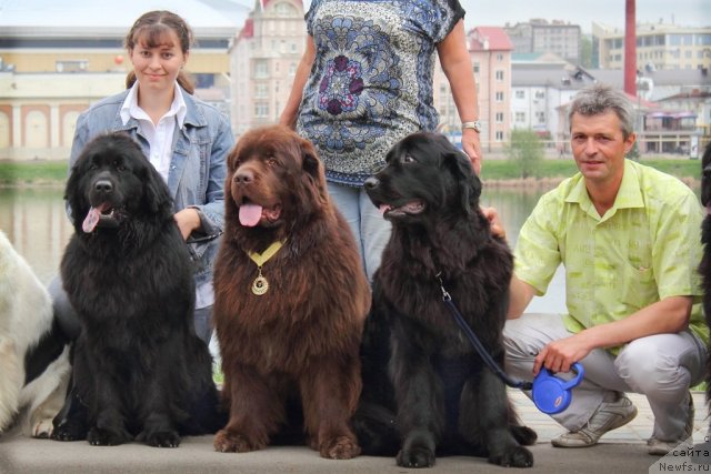 Фотография № 95627