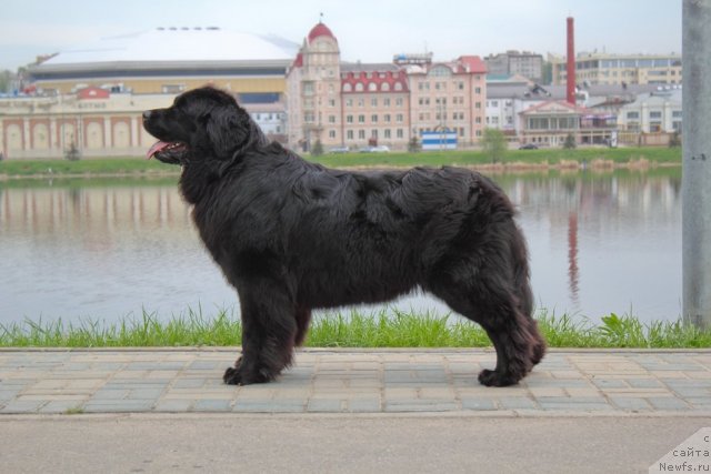 Фотография № 95629