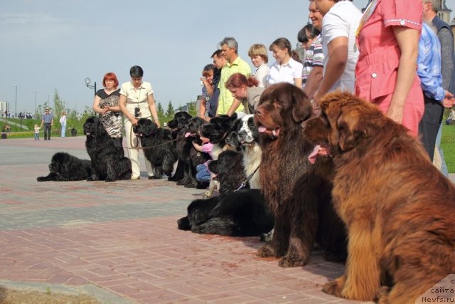 Фотография № 95631