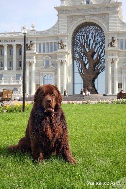 Фотография № 95633