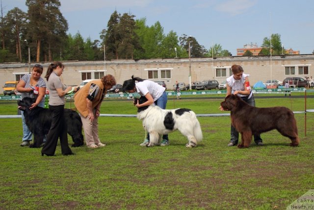 Фотография № 95635