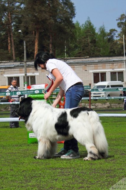 Фотография № 95636