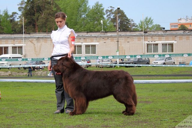 Фотография № 95637