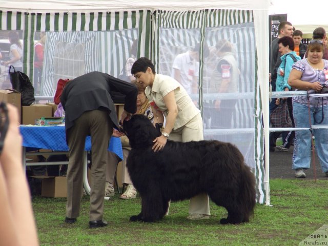 Фотография № 95641