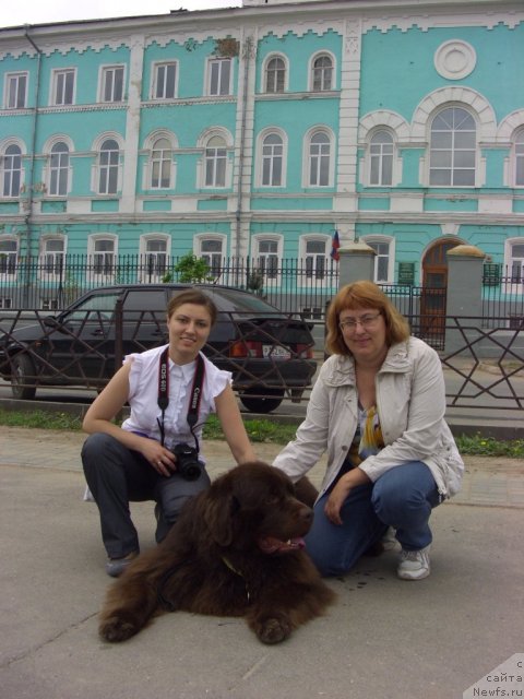 Фотография № 95652