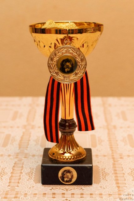 Фотография № 95662