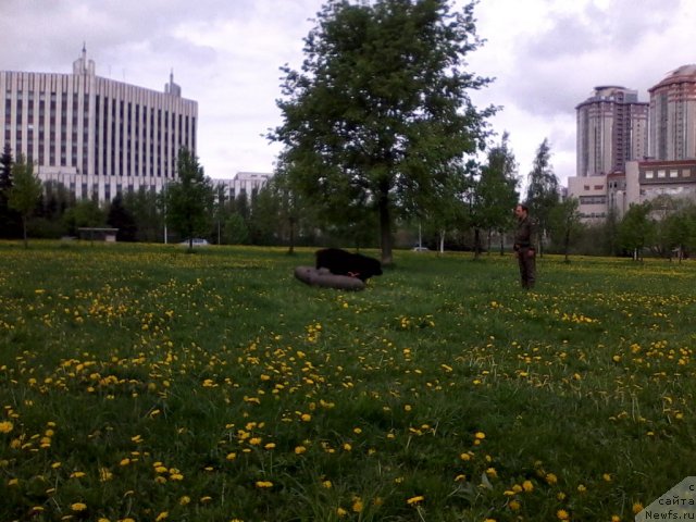 Фотография № 95684