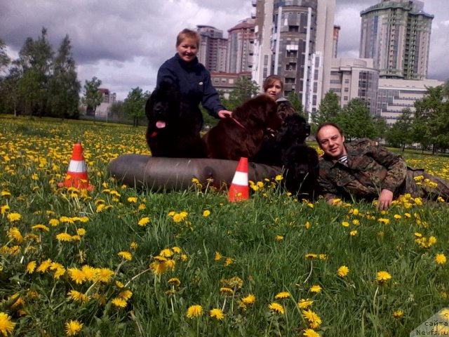 Фотография № 95686