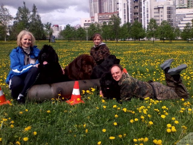 Фотография № 95687