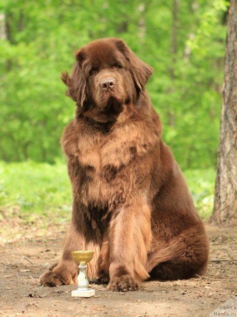 Фотография № 95723