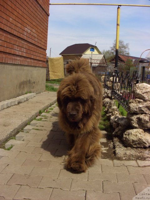 Фотография № 95738