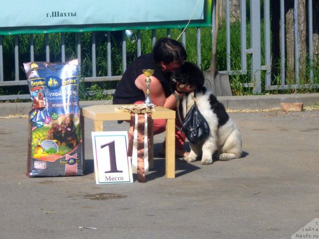 Фотография № 95743