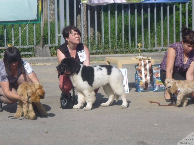 Фотография № 95744