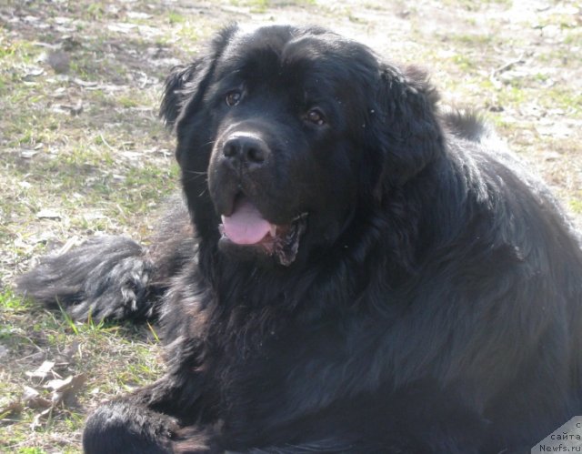 Фото: Kirill Semenihin (Кирилл Семенихин)