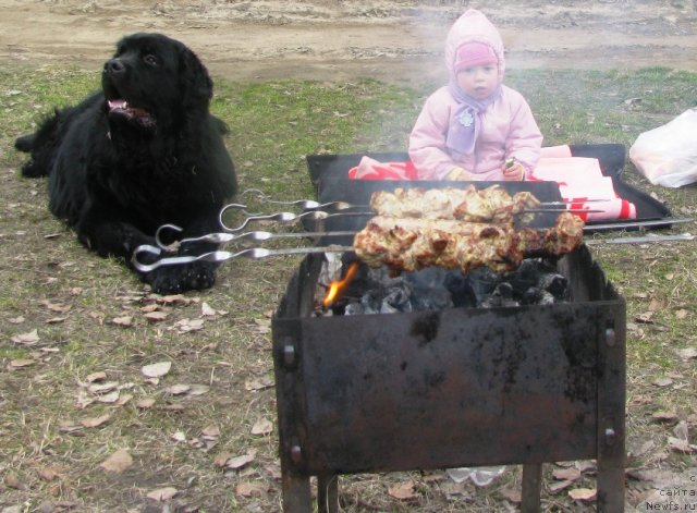 Фото: Доча, Блэк и шашлычок