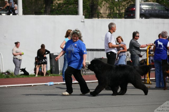 Фотография № 95758