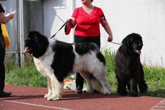 Фотография № 95770