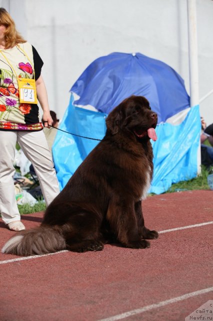 Фотография № 95771