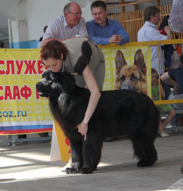 Фотография № 95804