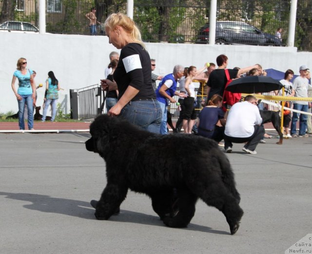 Фотография № 95805