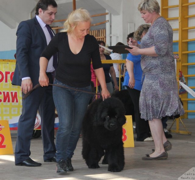 Фотография № 95806