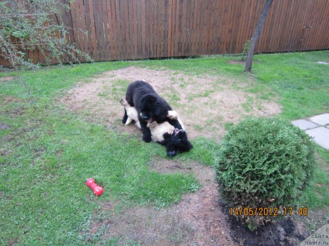 Фото: Кай и Люська