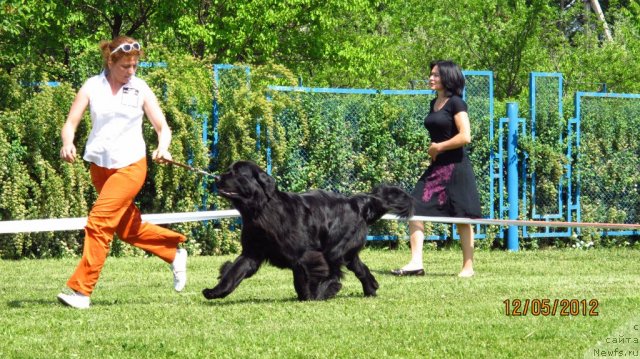 Фотография № 95823