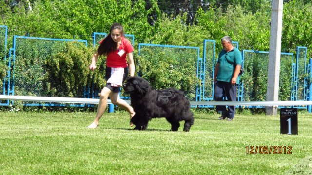 Фотография № 95824