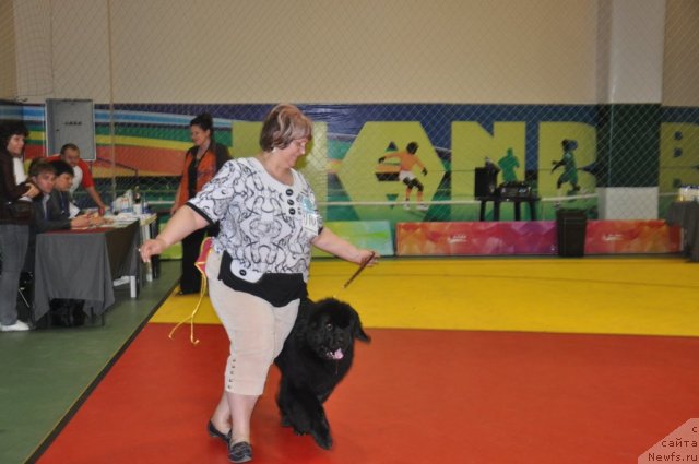 Фотография № 95830