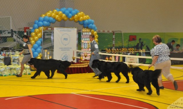 Фотография № 95831