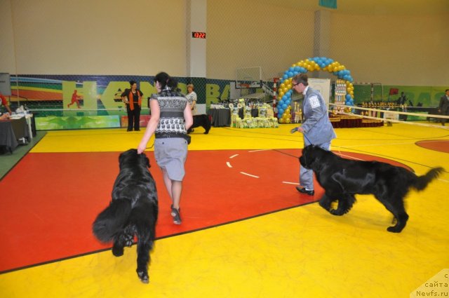 Фотография № 95832