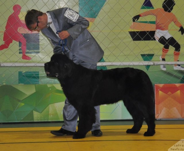 Фотография № 95833