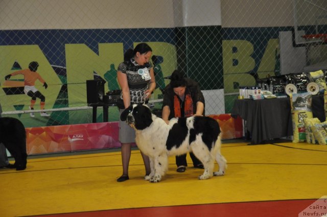 Фотография № 95834