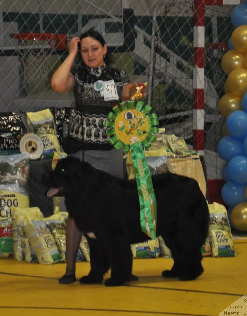 Фотография № 95837