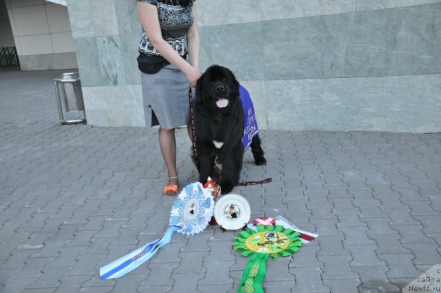 Фотография № 95839