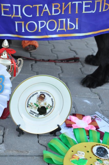 Фотография № 95840