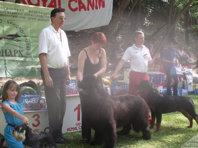 Фотография № 95883