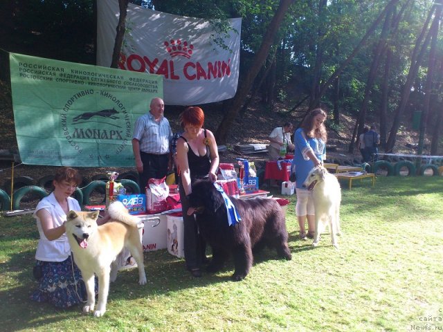 Фотография № 95885