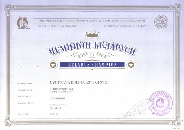 Фото: ньюфаундленд Uyutnaya Dolina Asterii Svet (Уютная Долина Астерии Свет)