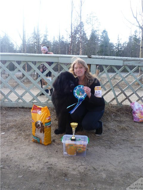 Фотография № 95905