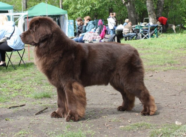 Фотография № 95919