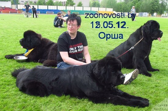 Фотография № 95929