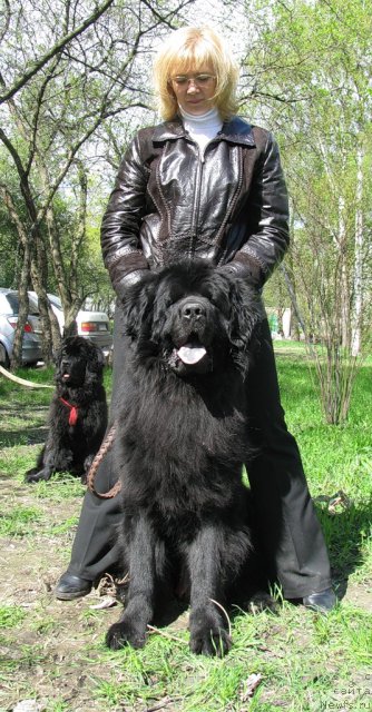 Фотография № 95950