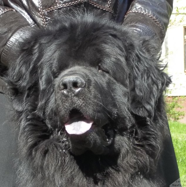 Фотография № 95951