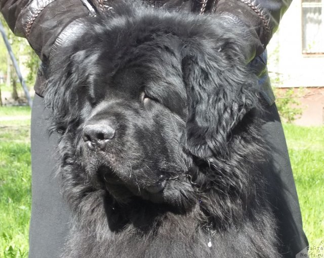 Фотография № 95952