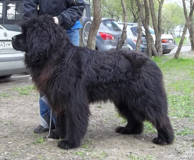 Фотография № 95957