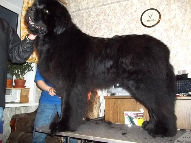 Фотография № 95958