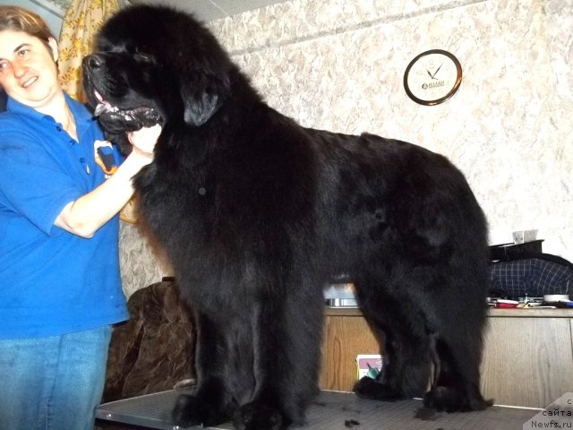 Фотография № 95960