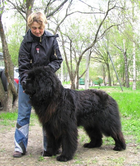 Фотография № 95961