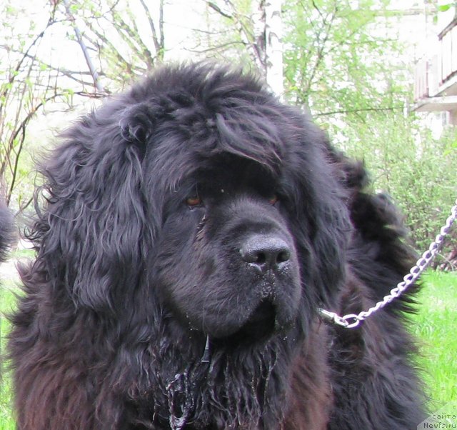 Фотография № 95962